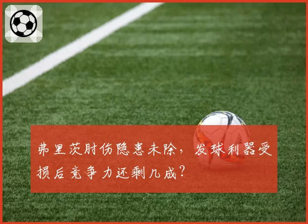 弗里茨肘伤隐患未除，发球利器受损后竞争力还剩几成？