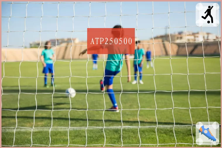 ATP250500